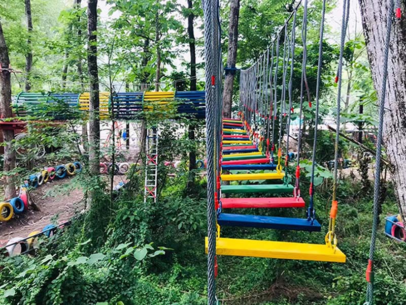 丛林探险拓展训练器材