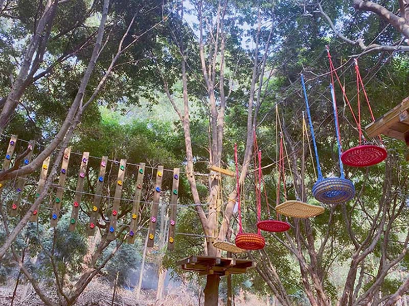 丛林探险拓展训练器材